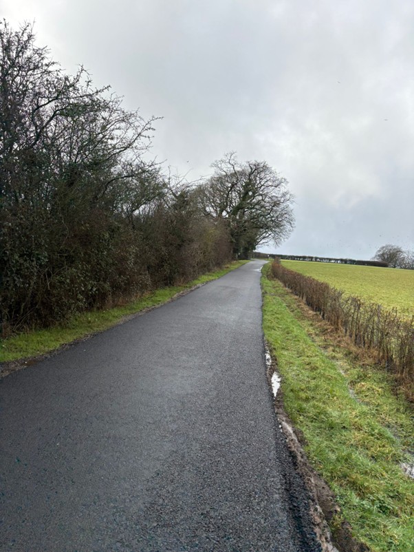 Narrow rural road lined with hedges and leafless trees on the left, open fields on the right under a cloudy sky.